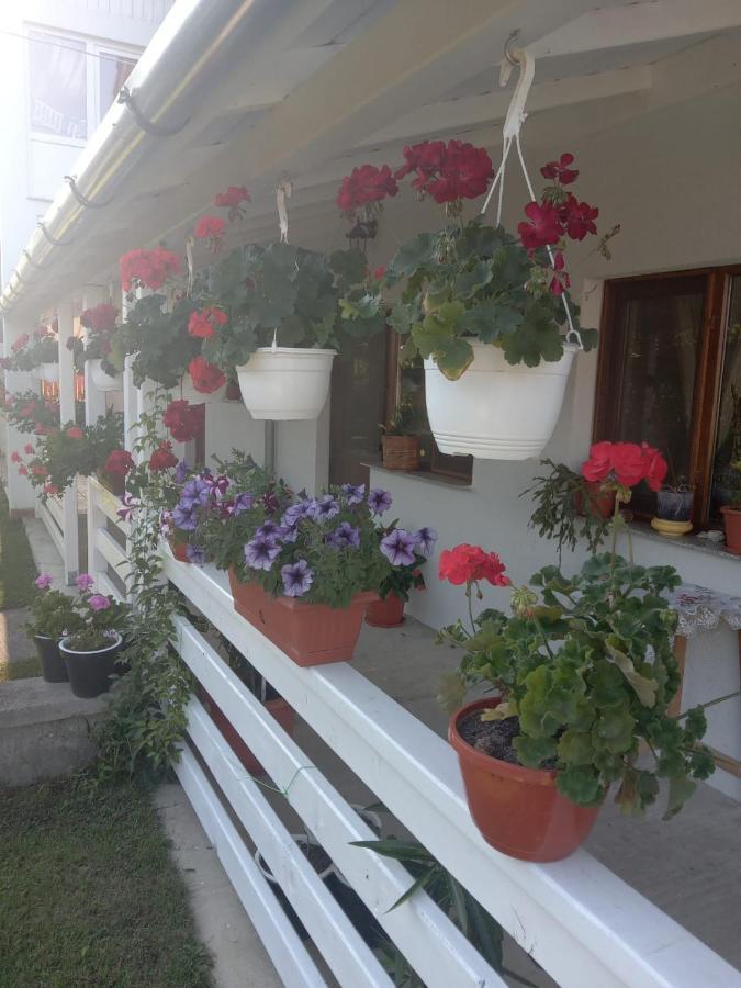 Hotel Cazare Turism Prislop Haţeg Exterior foto